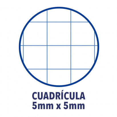 RECAMBIO COLOR 1 TAPA BLANDA A4+ 80 HOJAS 5X5