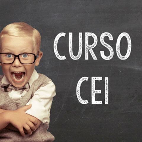 CE1