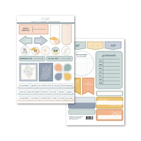 Set de Stickers ESP essentials