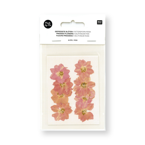 Flor/Planta prensada