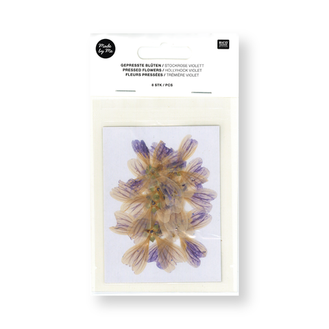 Flor/Planta prensada