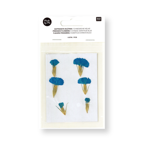 Flor/Planta prensada