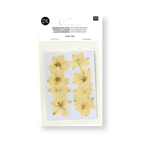 Flor/Planta prensada