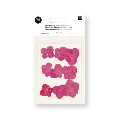 Flor/Planta prensada