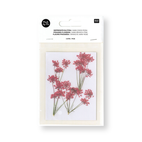 Flor/Planta prensada