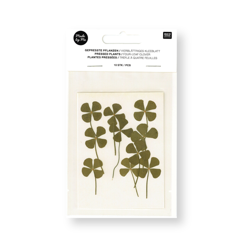 Flor/Planta prensada