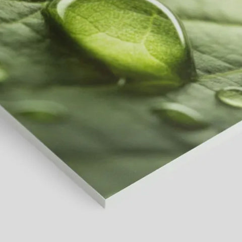 Impresión en Forex de PVC