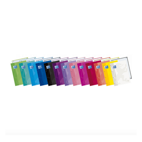 Recambio Color 1 tapa Blanda A4+ 80 hojas 5x5