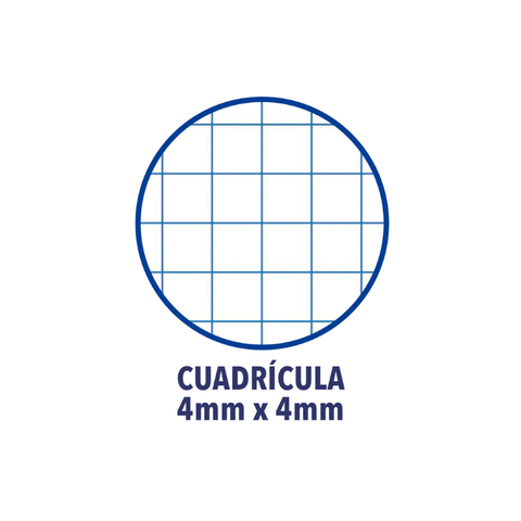 Recambio 200+50 Hojas 4x4 4 Taladros Oxford